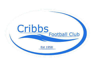 A Call To Arms! Droitwich Spa v Cribbs